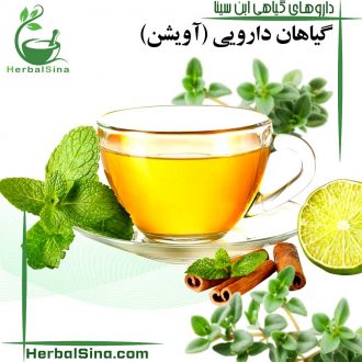 آویشن ابن سینا