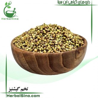 تخم گشنیز ابن سینا