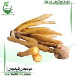 خولنجان(قولنجان) ابن سینا