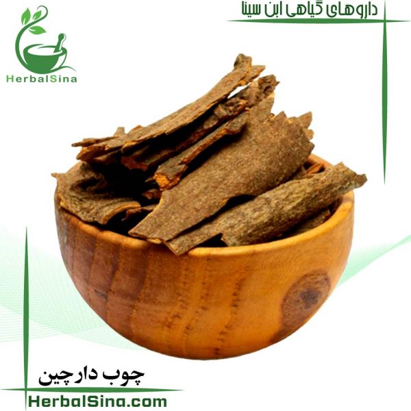 چوب دارچین ابن سینا