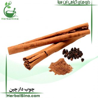 چوب دارچین ابن سینا