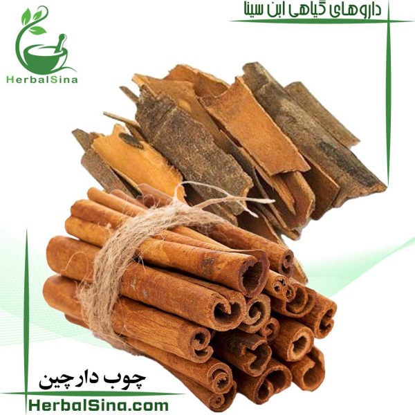 چوب دارچین ابن سینا